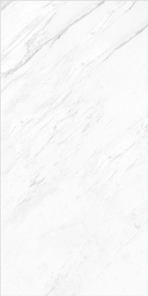 細紋銀狐(亮/連紋)
