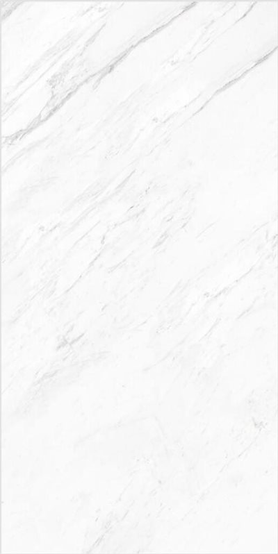 細紋銀狐(亮/連紋)